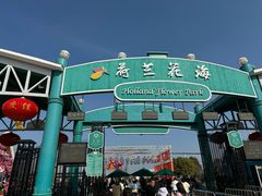-荷兰花海