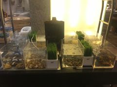 -厦门宝龙铂尔曼大酒店·龙之渊中餐厅