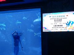 -太平洋海底世界