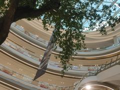 -古春堂·凉茶糖水铺(拱北口岸店)