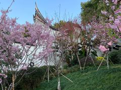 -乌山风景区