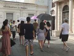 -玫瑰小镇