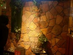 -醉美东江·三文鱼·烧鸡公