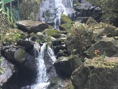 -藏龙百瀑风景区