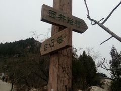 -府君山公园
