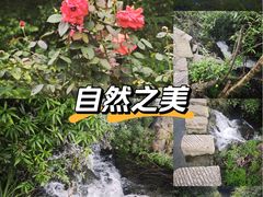-花溪公园