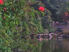 -云溪植物园