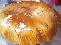 野生菌-邱二餐馆