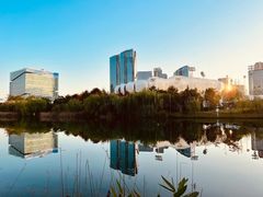 -杭州奥体中心-体育场