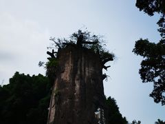 -青青世界