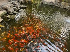 -大悲禅寺