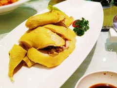白切绍兴墩鸡-绍兴饭店(大宁店)
