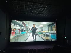 -华谊兄弟影院(北京洋桥店)