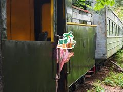 -五营红松林海景区