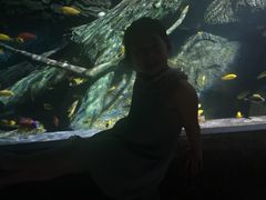 -暹罗海洋世界
