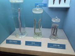 -国家自然博物馆