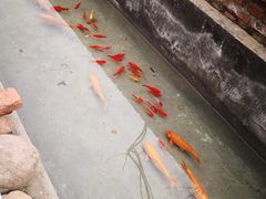-小仙居·农家宴烤羊· 农庄