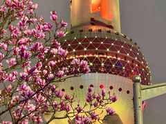 -东方明珠广播电视塔