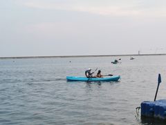 -碧海金沙