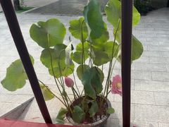 -中卫御苑福膳·养生局(圆明园店)