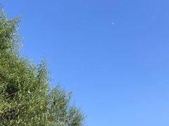 -大渡口区义渡公园