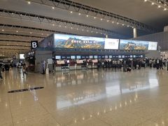 -合肥新桥国际机场-航站楼