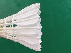 -健龙森俱乐部·游泳·健身·羽毛球综合体育馆