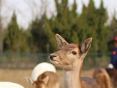 -济南野生动物世界