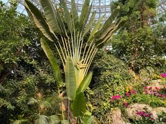 -郑州植物园