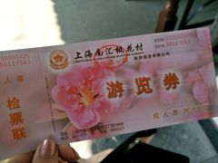 -南汇桃花村
