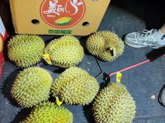 -三亚新鸿港水果一级批发市场