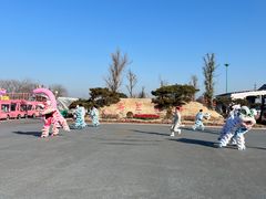 -荷兰花海