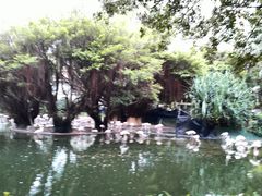 -九龙公园