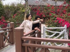 -小南山公园