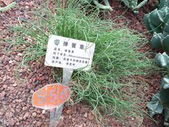 -南通洲际绿博园