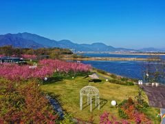 -福建鲤鱼洲酒店