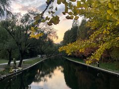 -共青国家森林公园-售票处