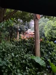 -翱翔飞越地平线