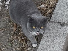 -宠颐生动物医院·心脏科·保险定点(锦阳分院)