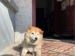 -常熟路(地铁站)