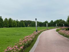 -太湖湖滨国家湿地公园-停车场