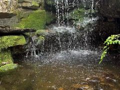 -润泽天·湘味家宴(岳麓山店)