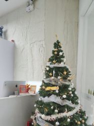 点击看大图 -慕名造型