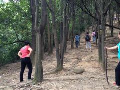 iphone_upload_pic-火炉山森林公园