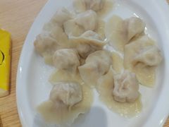 -大年初一手工水饺(鹏欣·一品漫城店)
