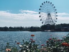 -白洋淀景区