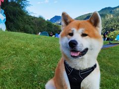 -玉渡山自然风景区