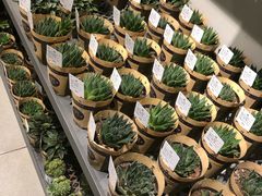 -鹿岛会员店 (龙湖三千集天街店)