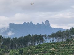 -七仙岭温泉国家森林公园