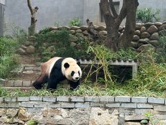 -石排湾郊野公园